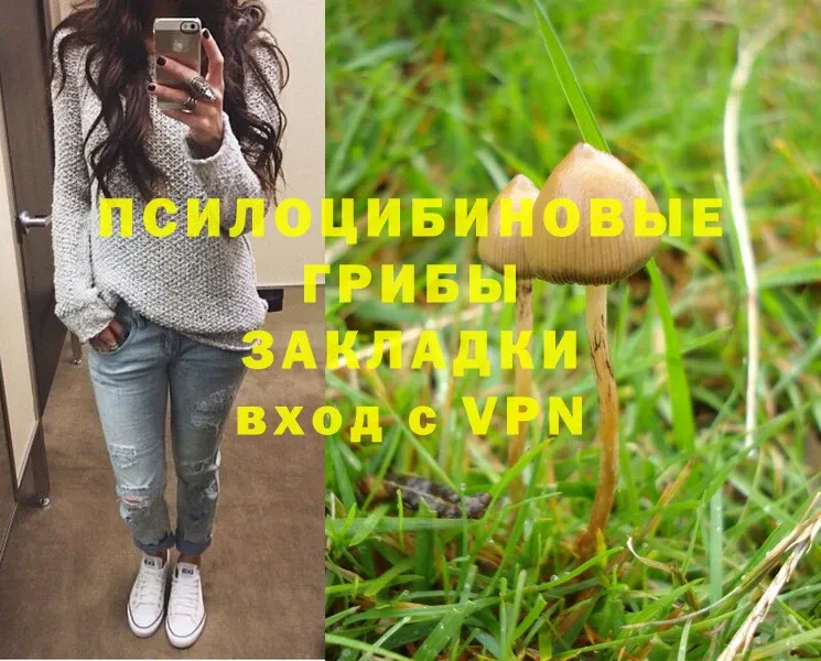 Галлюциногенные грибы Magic Shrooms  Снежинск 